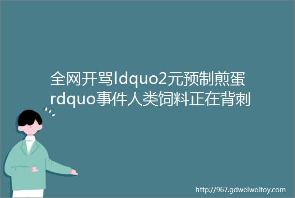 全网开骂ldquo2元预制煎蛋rdquo事件人类饲料正在背刺中国年轻人